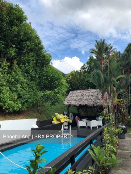 Raffles Park (D11), Detached #438559481